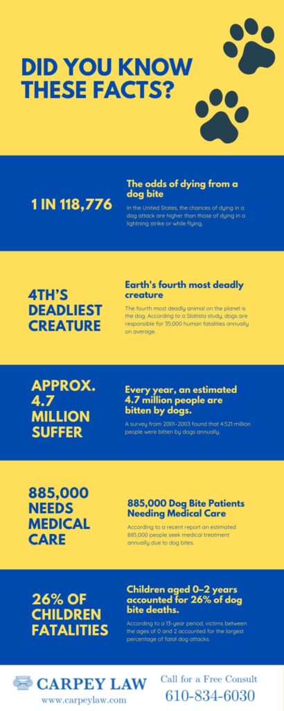 Blue Paw Print Dog Bite Infographic